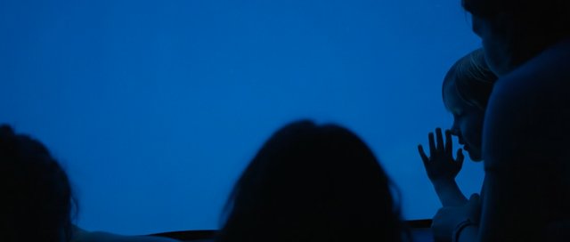 Fotograma 1.68.1