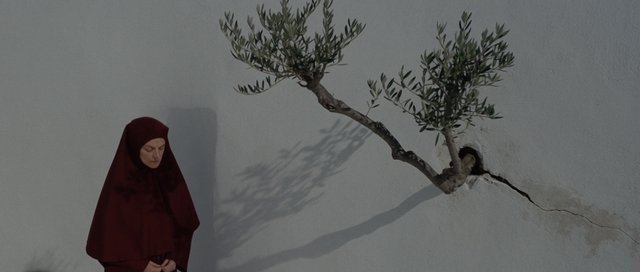 Mujer, pared y rama
